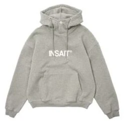 INSAITInsait Logo Hoodie - Grey